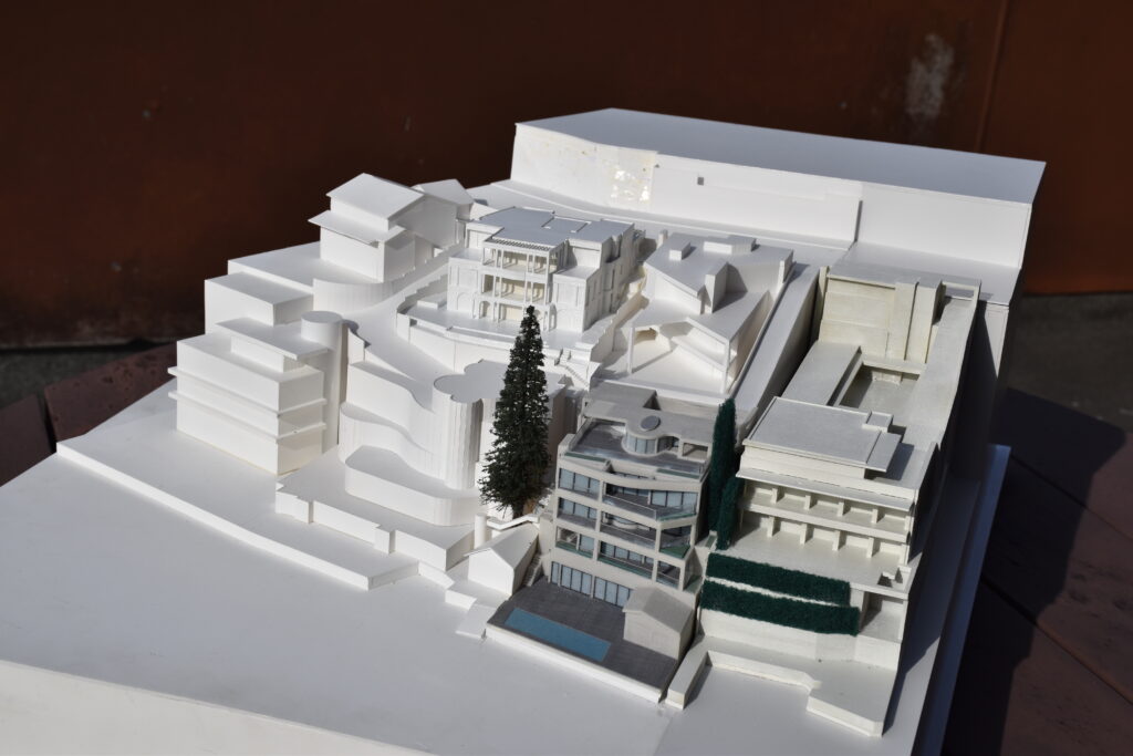 Wolseley Point Piper